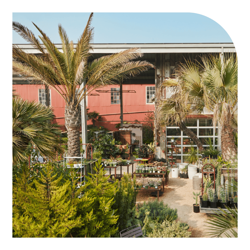Flora Grubb Gardens Plant Nursery 2
